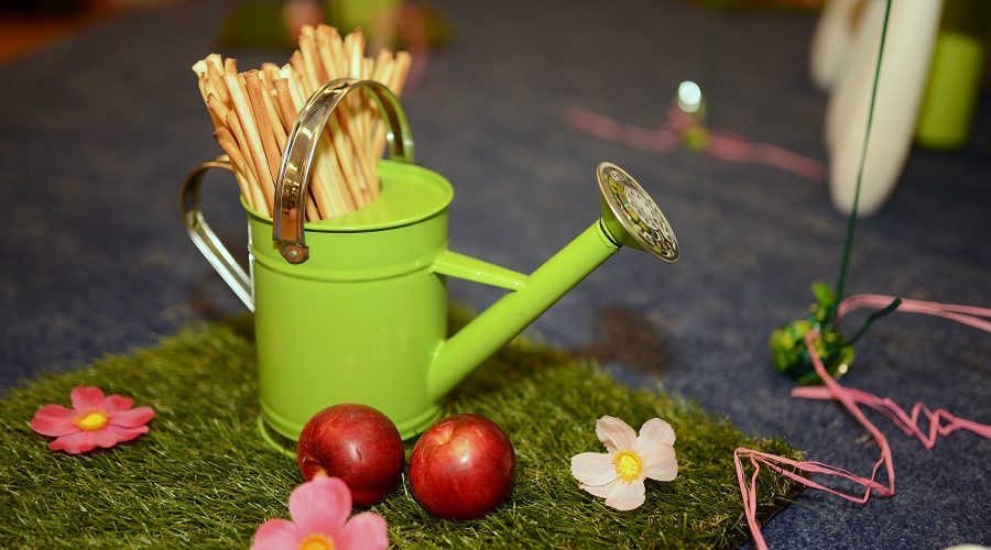 gimtadienis peppa pig tema kiaulytės pepos šventė
