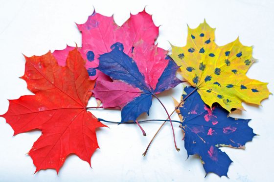 medžio lapų spalvojimas