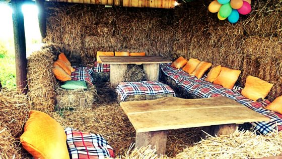 kaimiško stiliaus šventė darželinukams