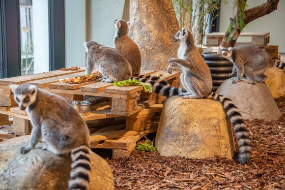 zooparkas vilnius