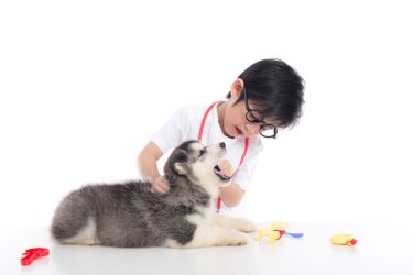 vaiko gimtadienis žvėrelių daktaras veterinaras